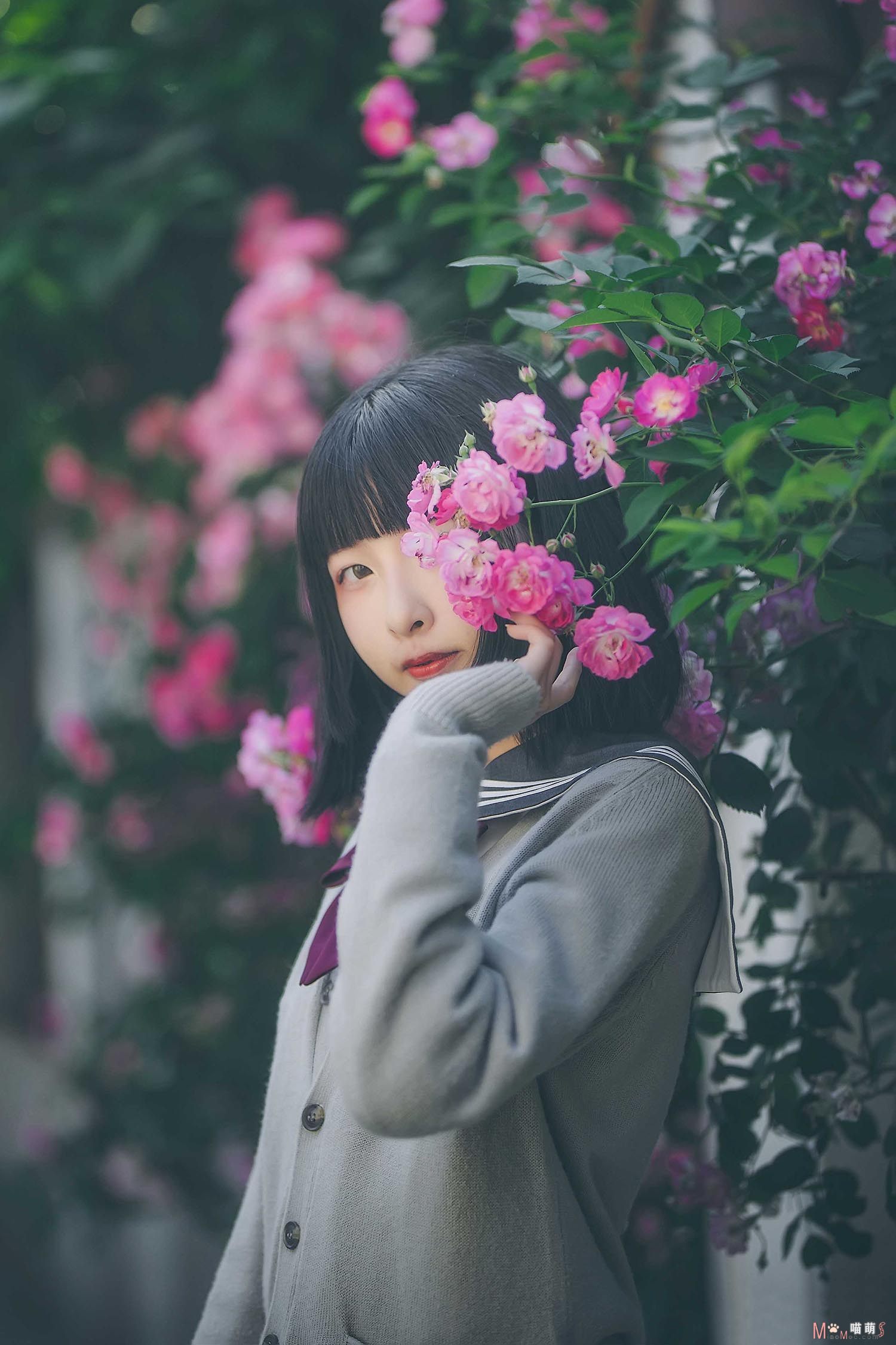 呱呱子-蔷薇少女